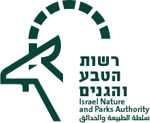 רשות הטבע והגנים- נשר מאלט logo