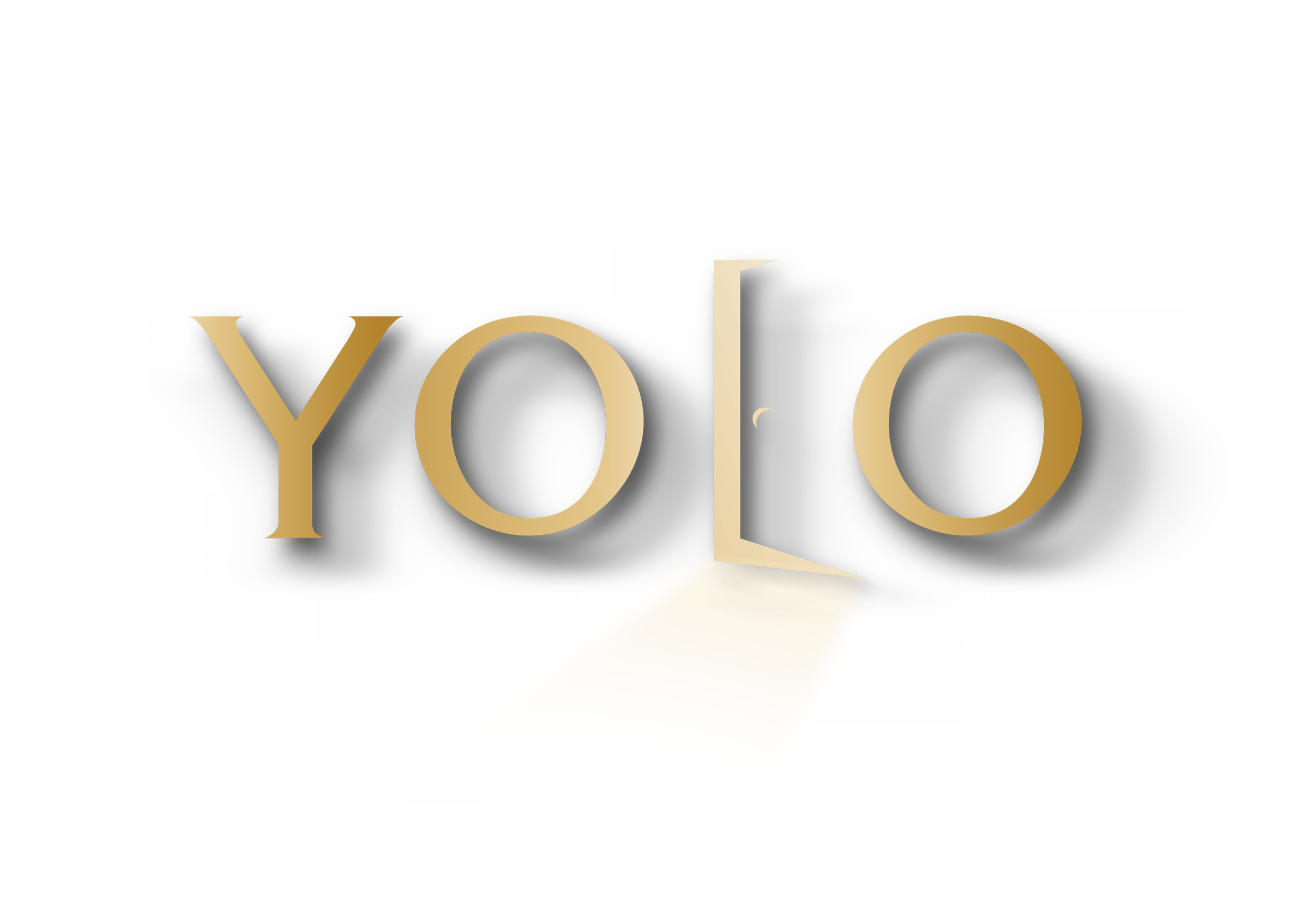 תנובה- יולו logo